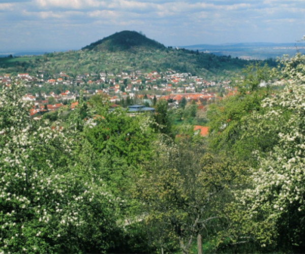 Bild auf die Stadt Reutlingen